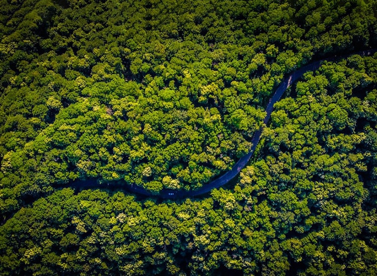 Imagens e galeria de fotos min — EkoPalete